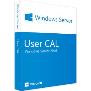 Microsoft Windows Server 2016 10 User CALs